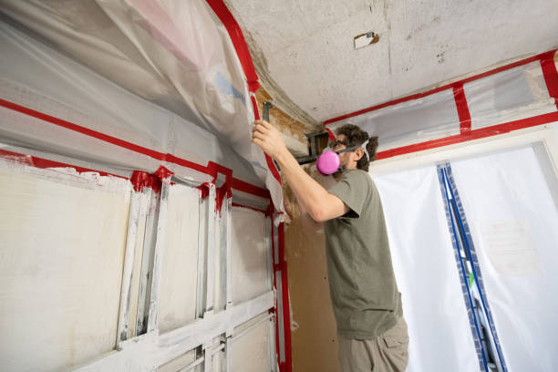 Best Asbestos and Lead Testing During Mold Inspection  in Coon Rapids, IA
