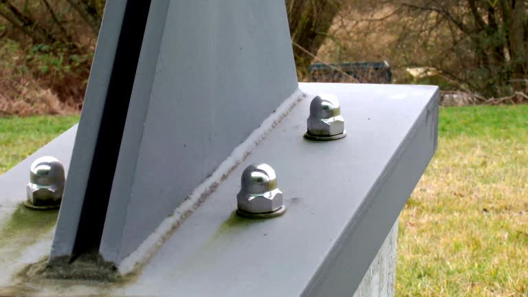 Best Forensic Mold Investigation  in Coon Rapids, IA