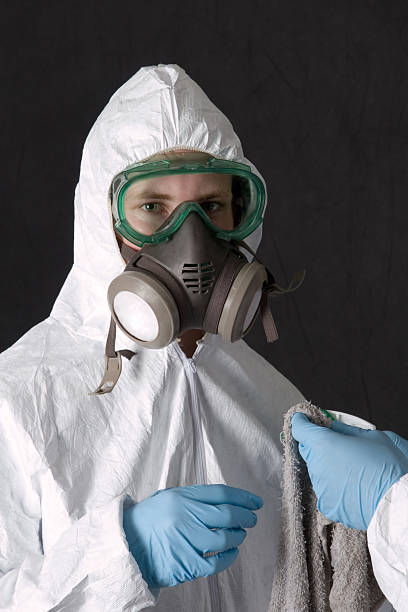 Best Mold-Related Health Consultation  in Coon Rapids, IA